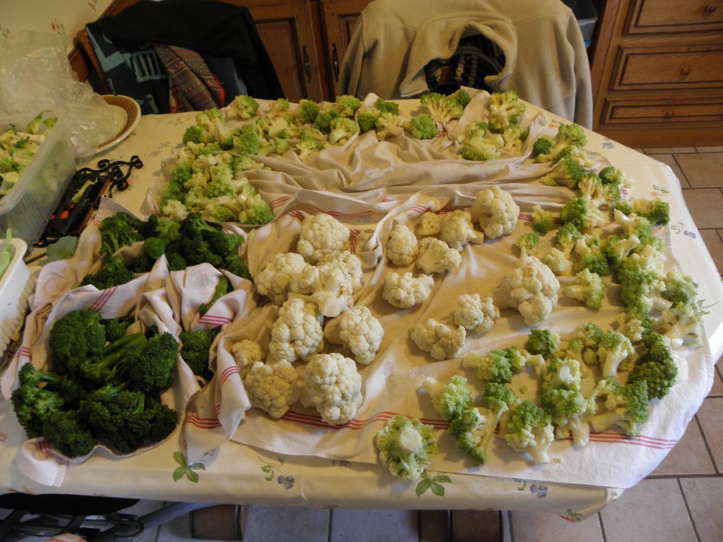 choux-fleurs-romanesco-broccoli